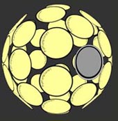 Gravitanius